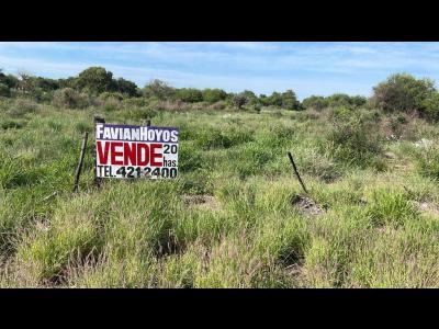 Terrenos Venta Santiago Del Estero Vendo 20 hectáreas en La Banda.